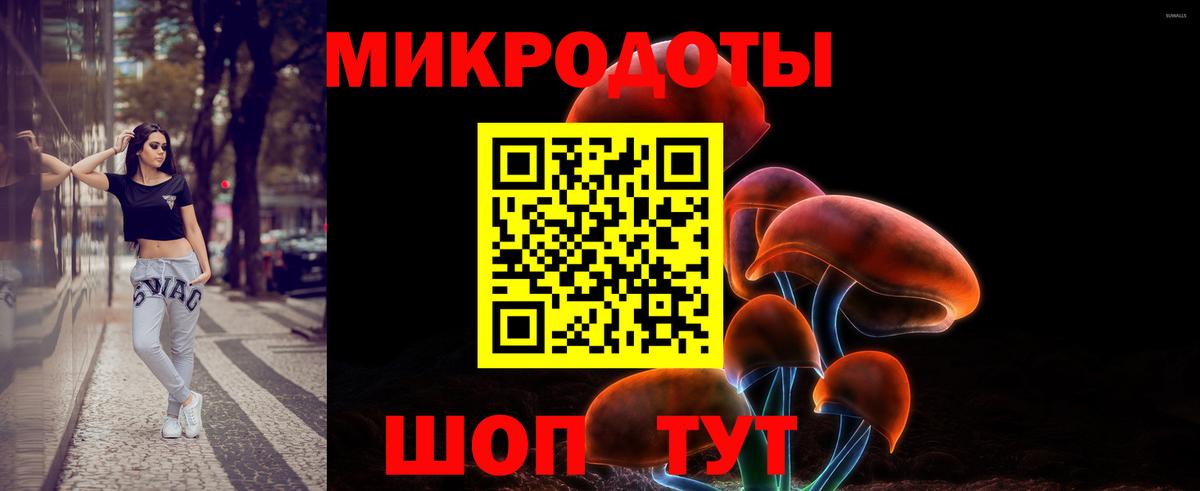 Тимашёвск  Галлюциногенные грибы Psilocybe  Галлюциногенные грибы GOLDEN TEACHER  Вход с VPN 